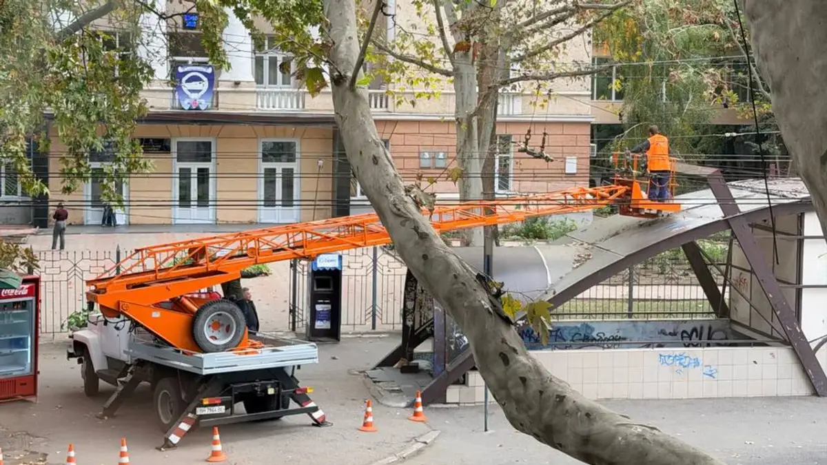Working at height from an aerial platform: who we train and what they learn